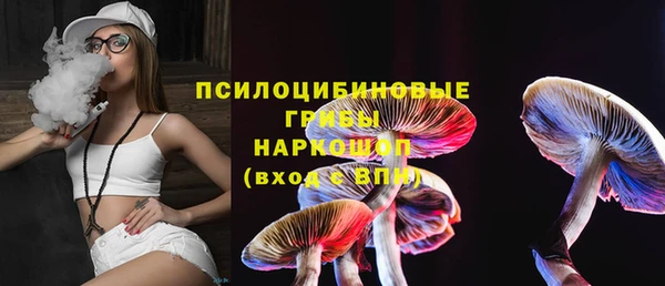 кокс Арсеньев