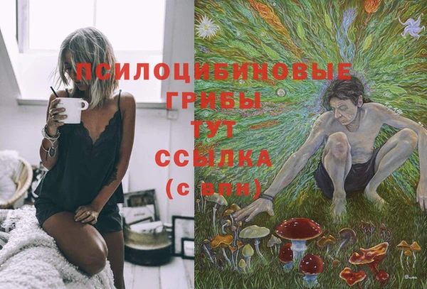 бошки Армянск