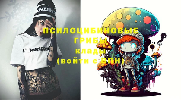 ALPHA PVP Надым