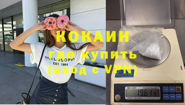 кокс Арсеньев